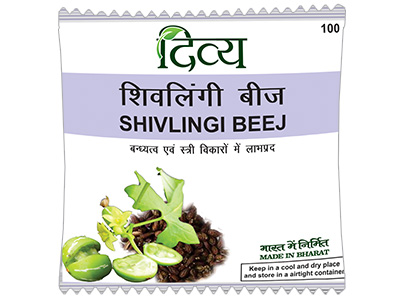 Patanjali Divya SHIVLINGI SEED 100 gm - Buy Online