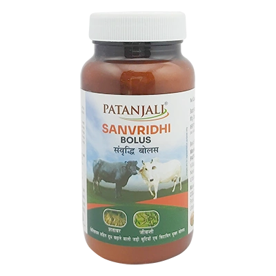 Patanjali Sanvridhi Bolus 3.5 G X 60 N