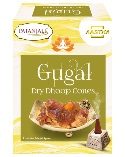Aastha Gugal Dry Dhoop Cone