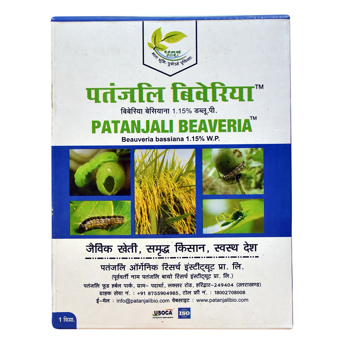 Patanjali Beaveria