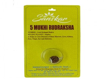 5 MUKHI RUDRAKSHA WITH CAP-PAUDJWKPJS1915173