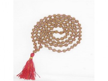 RUDRAKSH WATER BEADS-PAUDJWKBDS1915179