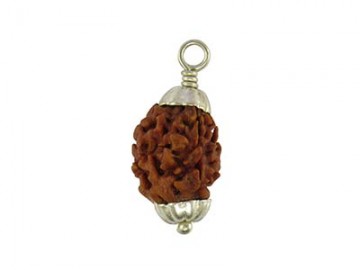 3 MUKHI RUDRAKSHA WITH CAP-PAUDJWKPJS1915169