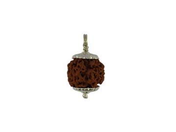 4 MUKHI RUDRAKSHA WITH CAP-PAUDJWKPJS1915171
