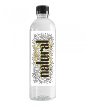 Patanjali Natural Water (B)