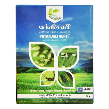 Patanjali Verti