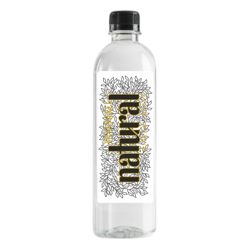 Patanjali Natural Water (B)